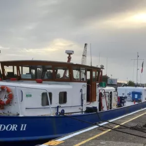 Seals to steer ram repair