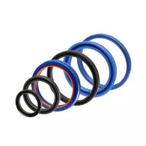 Che cos'è un Rod Seal?