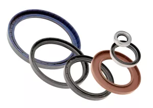 Cosa sono i Rotary Seals o i Shaft Seals?
