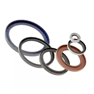 What are Oil Seals?