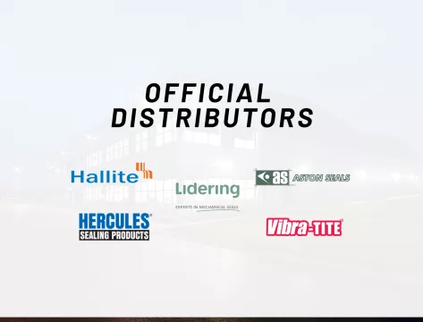 Banner Video Fallback 3